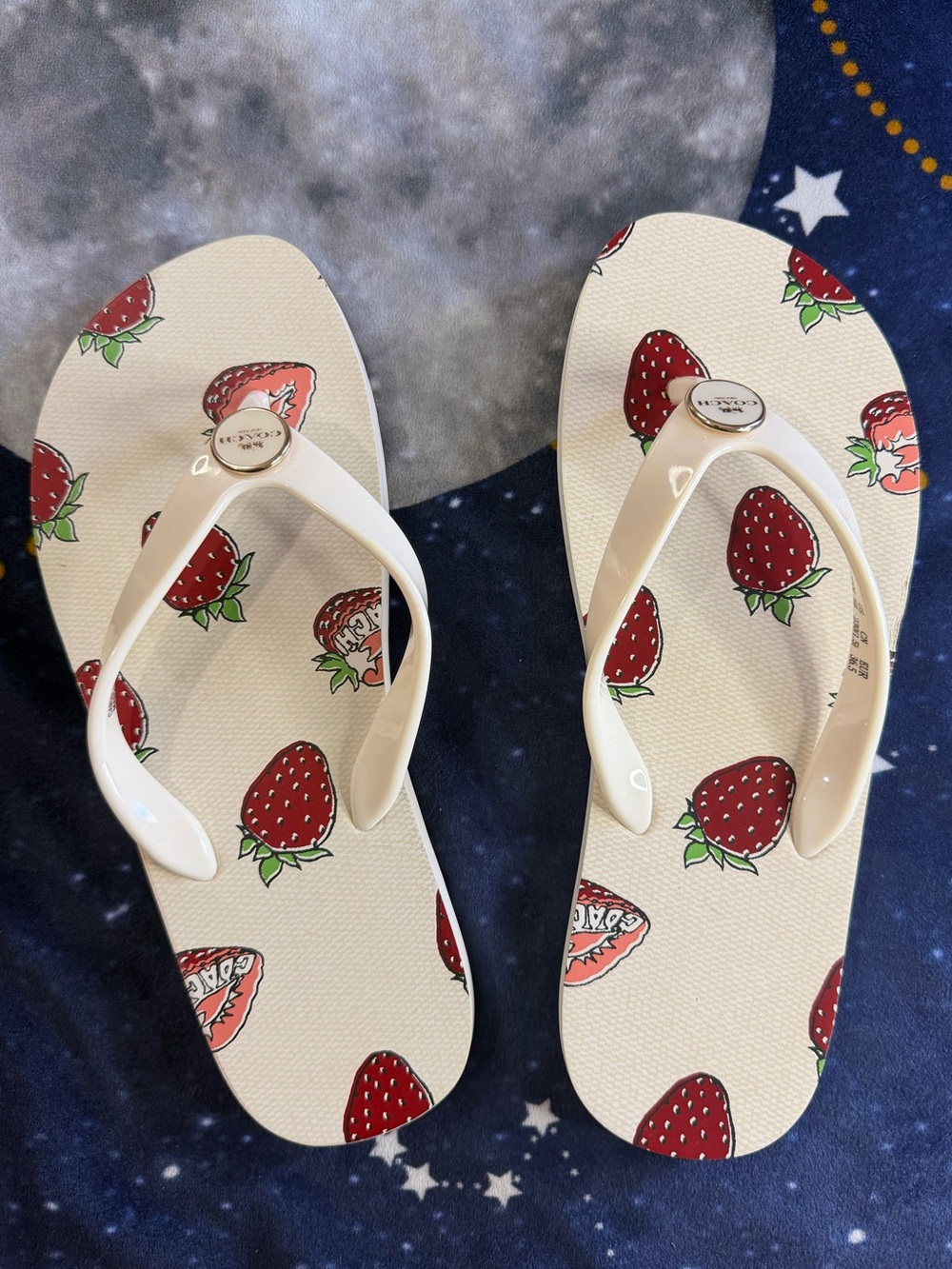 Coach Zayn Flip Flops with Strawberry Print